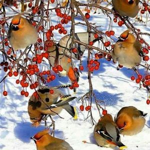 Meet your Posher, Aisha